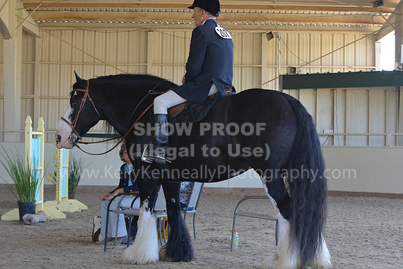 MLMH18_0899