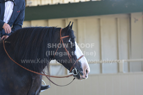 MLMH18_0902