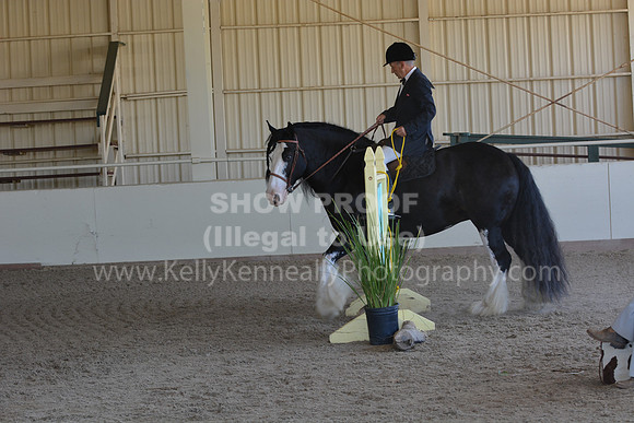 MLMH18_0903