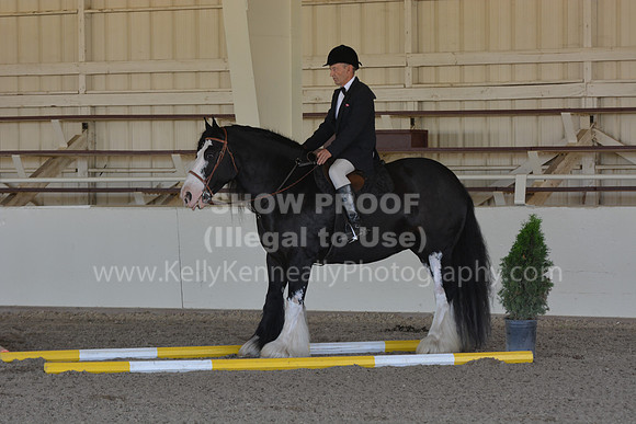 MLMH18_0905