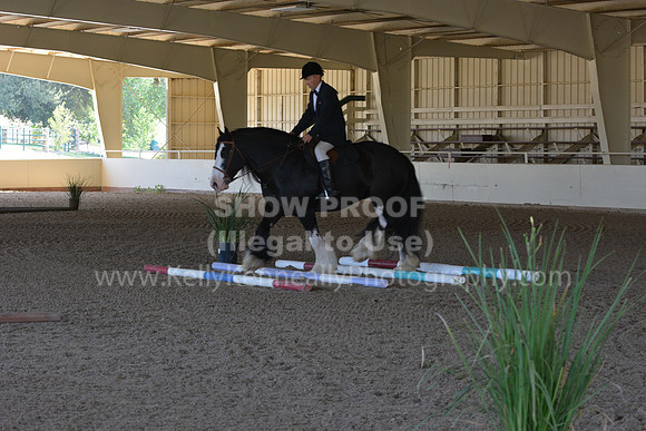 MLMH18_0908