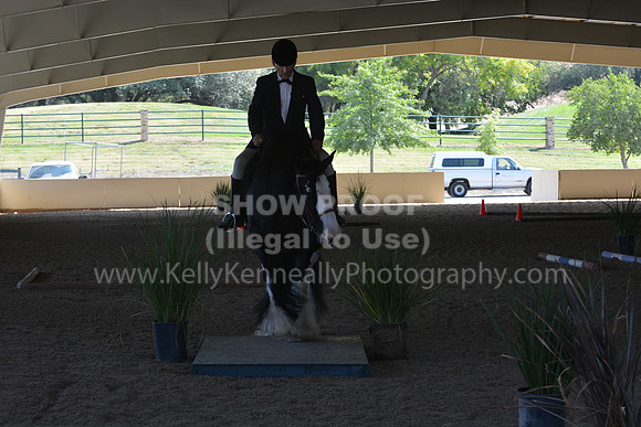 MLMH18_0909