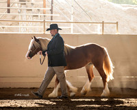MLMH_2018_0963
