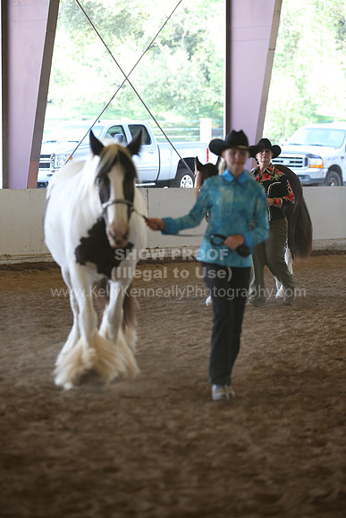 MLMH_2018_3072