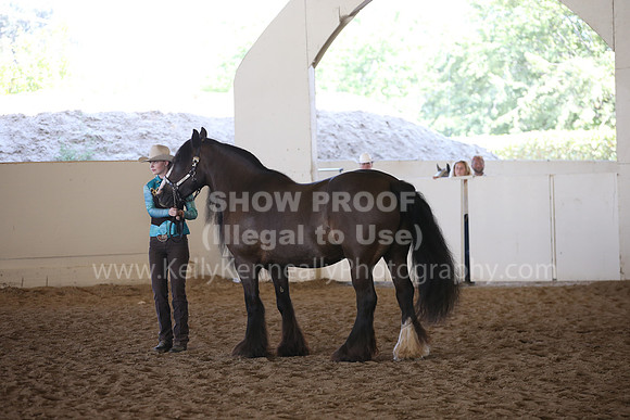 MLMH_2018_3075
