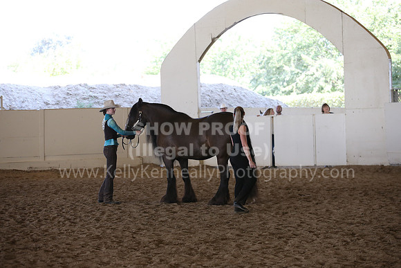 MLMH_2018_3077