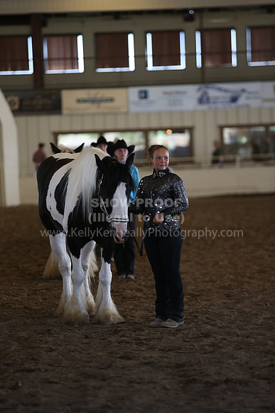 MLMH_2018_3088