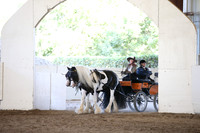 Class 117 Carriage Driving Turnout Open-photos