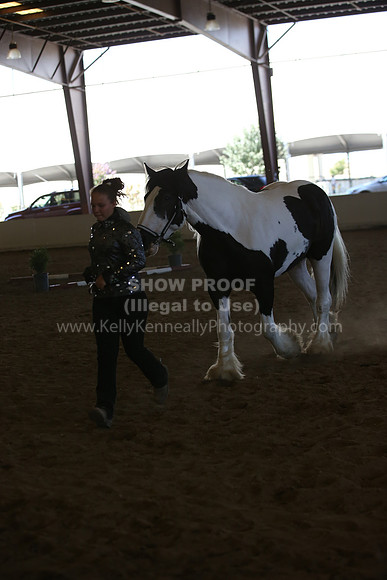 MLMH_2018_3102