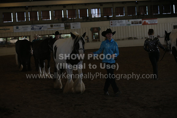 MLMH_2018_3103