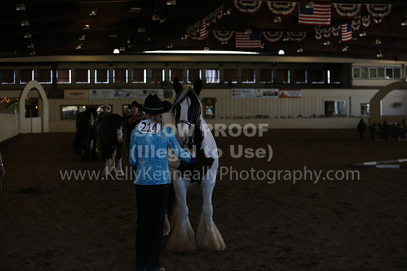 MLMH_2018_3104