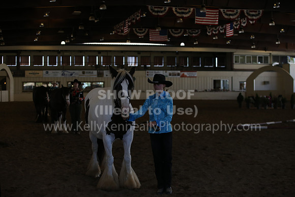 MLMH_2018_3106