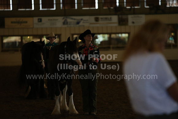 MLMH_2018_3109