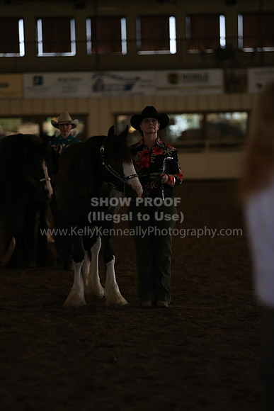 MLMH_2018_3110