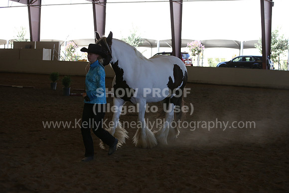 MLMH_2018_3113