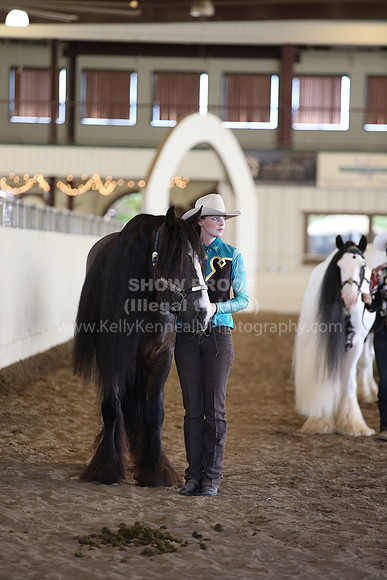 MLMH_2018_3125