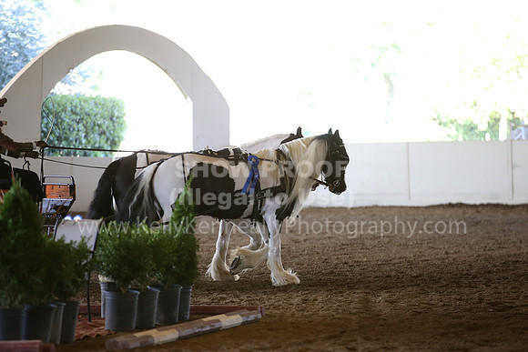 MLMH_2018_3534