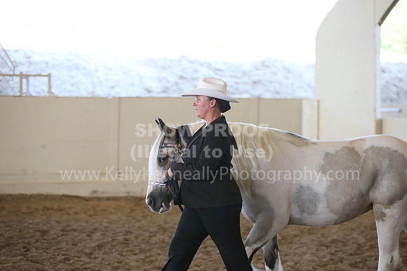 MLMH_2018_3143