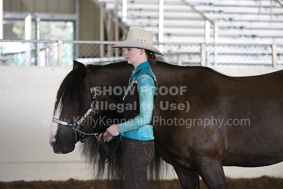 MLMH_2018_3145