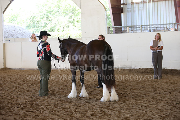MLMH_2018_3156