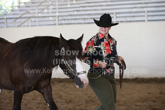 MLMH_2018_3157