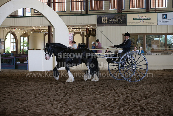 MLMH_2018_3634