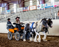 Driving Classes