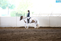 MLMH_2018_5067