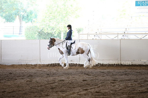 MLMH_2018_5067
