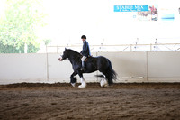 MLMH_2018_5070