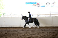 MLMH_2018_5069