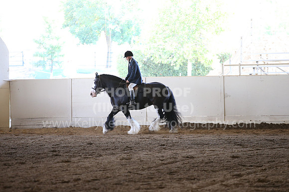 MLMH_2018_5071