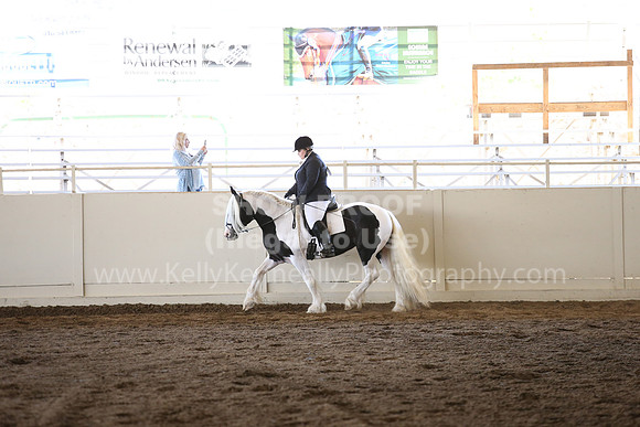 MLMH_2018_5072