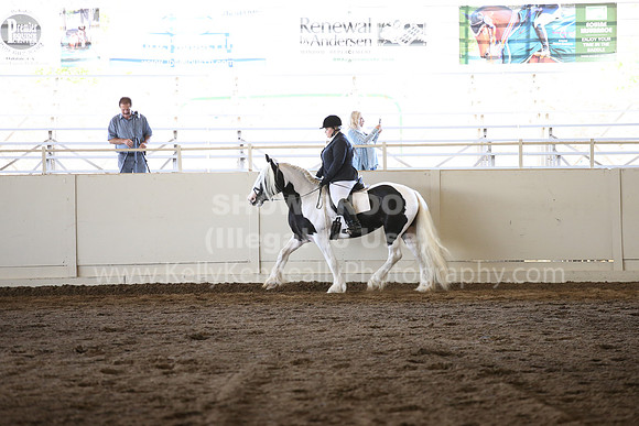 MLMH_2018_5073