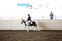 MLMH_2018_5075