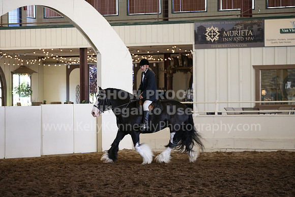 MLMH_2018_5079