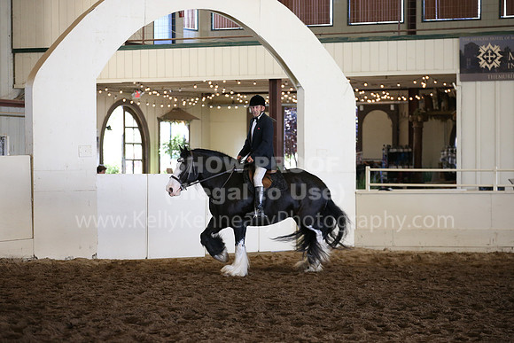 MLMH_2018_5080
