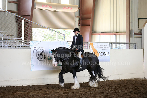 MLMH_2018_5082