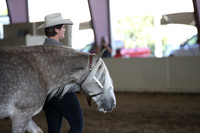 MLMH_2018_1073