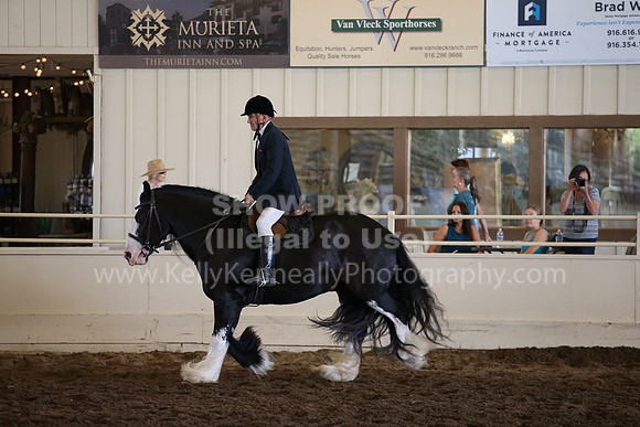 MLMH_2018_5106