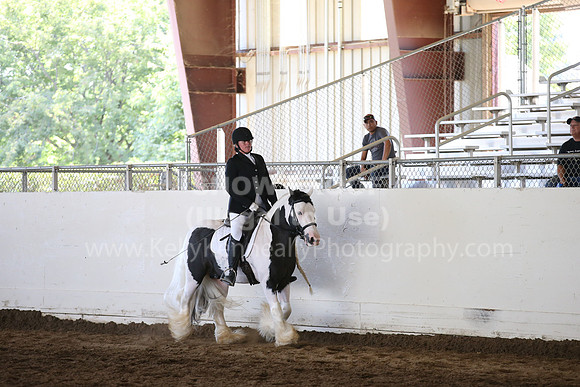 MLMH_2018_5119