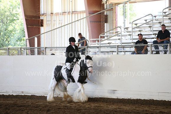 MLMH_2018_5120