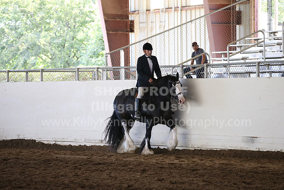 MLMH_2018_5125