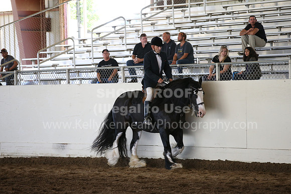 MLMH_2018_5127