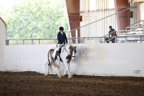 MLMH_2018_5130