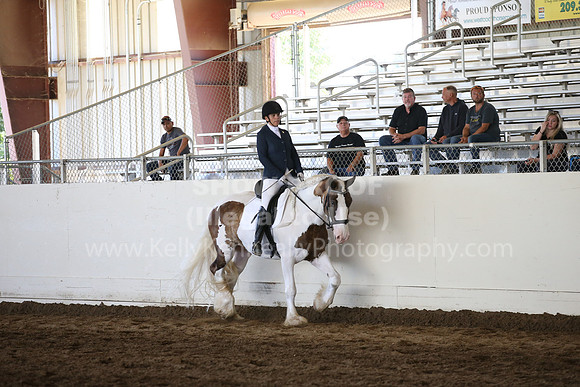 MLMH_2018_5131