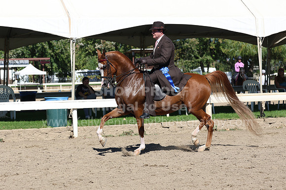 DAHA_FF22_0696