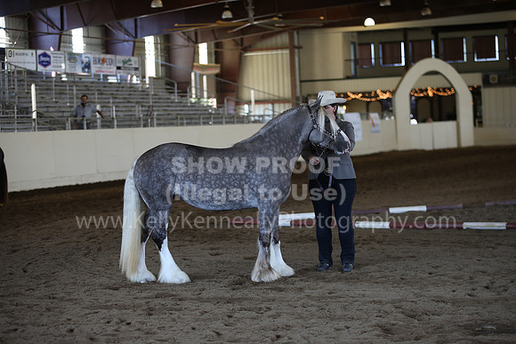 MLMH_2018_1317