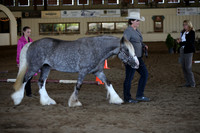 MLMH_2018_1321