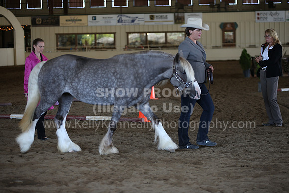 MLMH_2018_1321